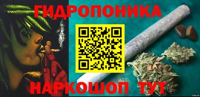 крисы Азнакаево