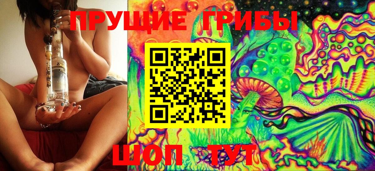 Галлюциногенные грибы GOLDEN TEACHER Алексеевка