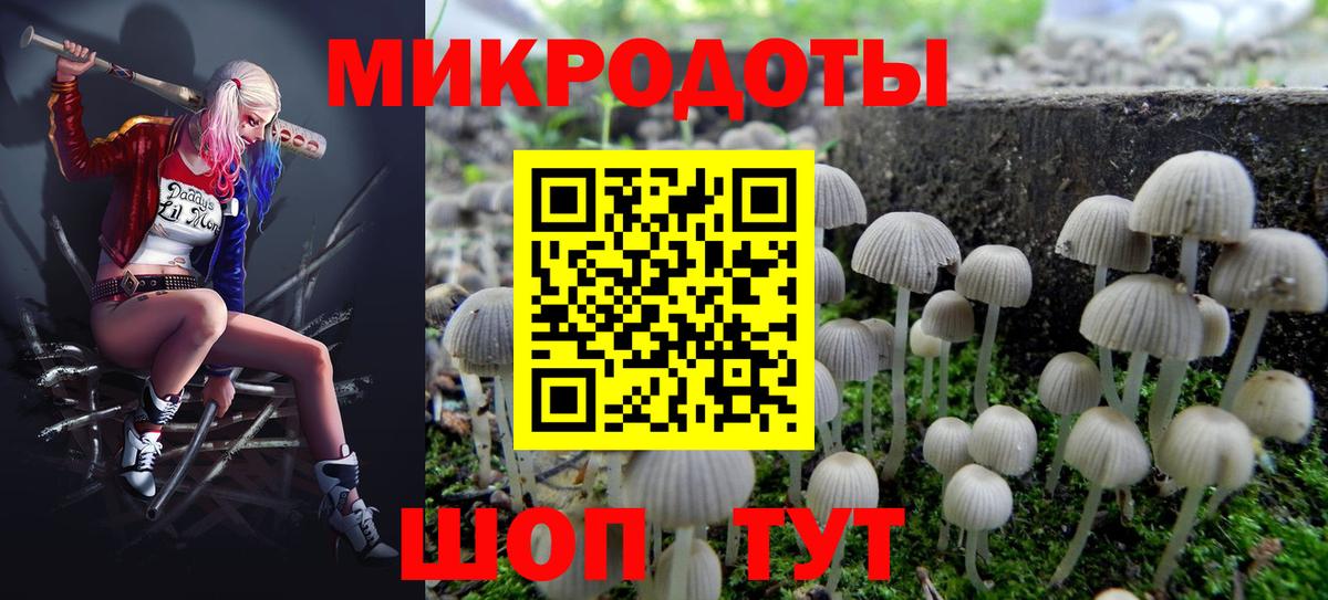 Псилоцибиновые грибы GOLDEN TEACHER  Псилоцибиновые грибы Cubensis  Вход с VPN  Алексеевка 